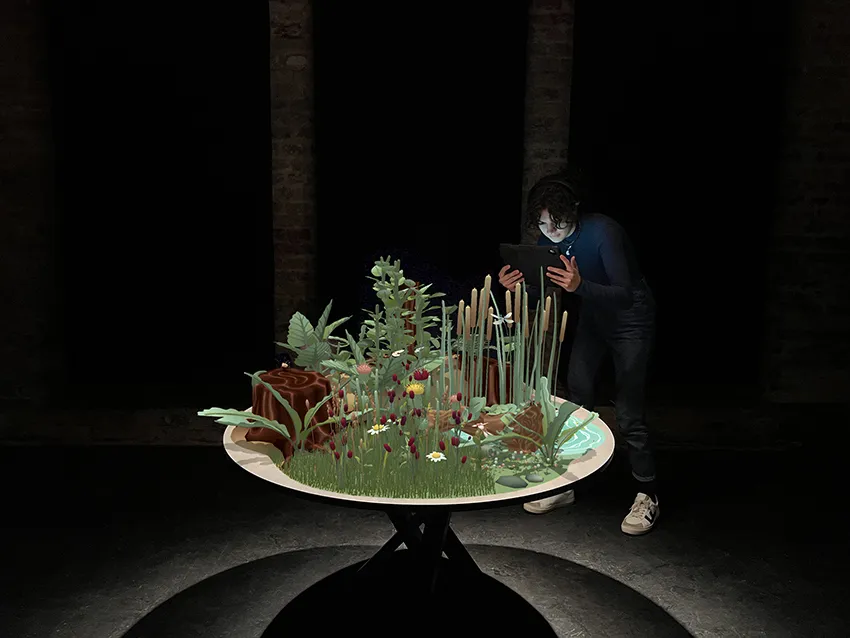 Insects & Us von Kris Hofmann