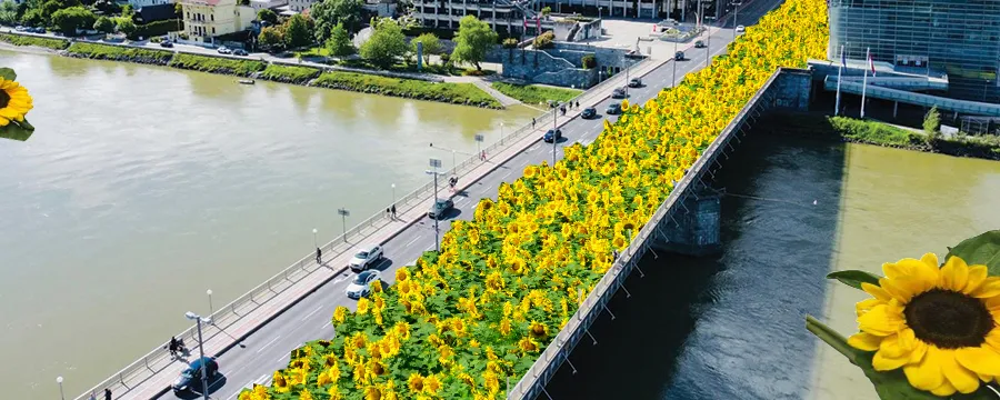 Meine neue Stadt